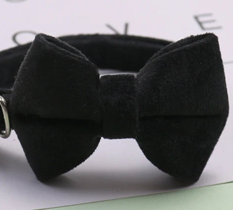 Boy dog collar with bow tie