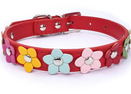 Daisy leather dog collar