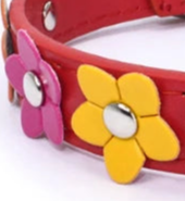 Daisy leather dog collar