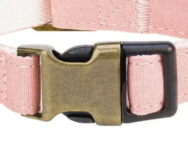 Baby pink padded dog collar