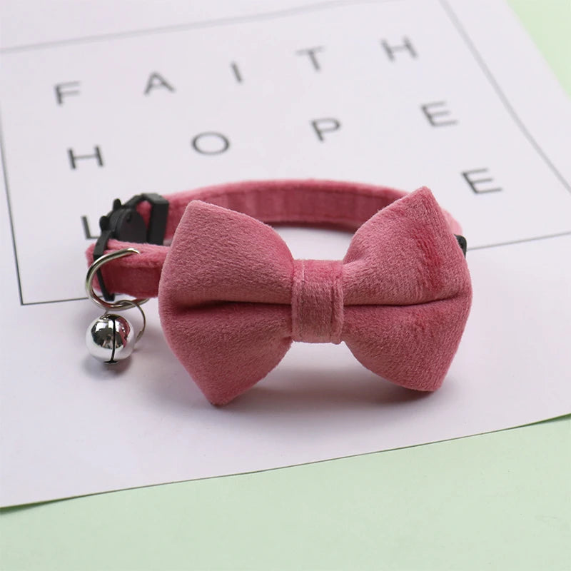 Pink bow tie collar