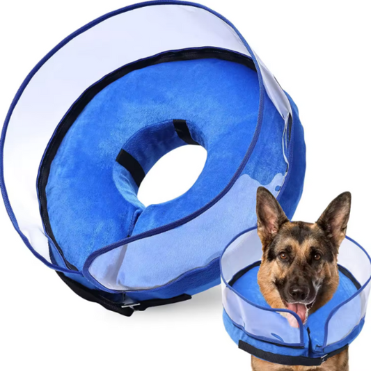 Inflatable collar for large dog