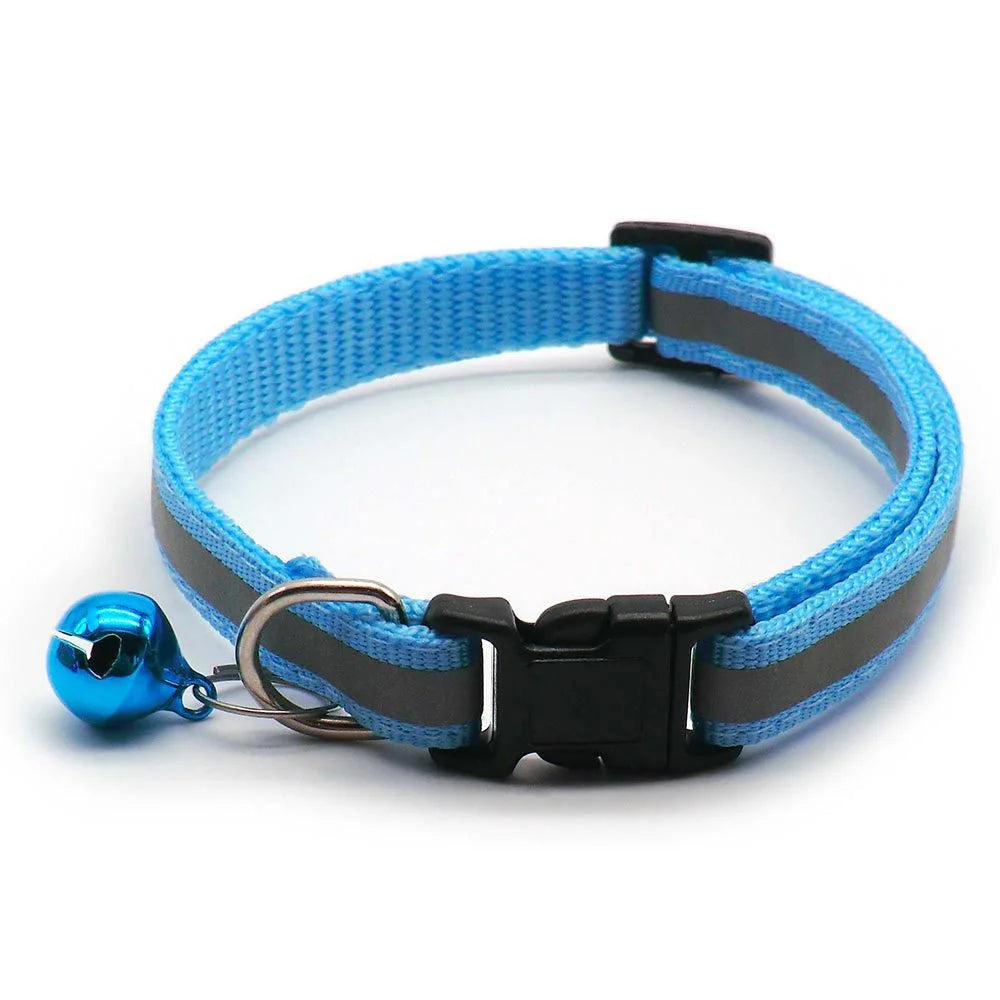 Glow in the dark dog collar no batteries