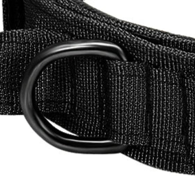 Black padded dog collar