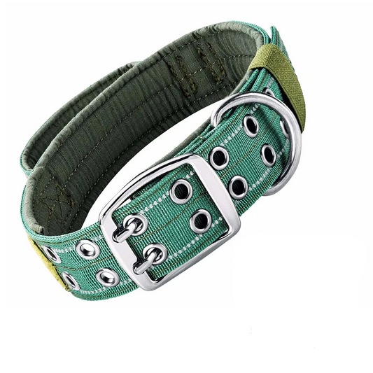 Forest green dog collar