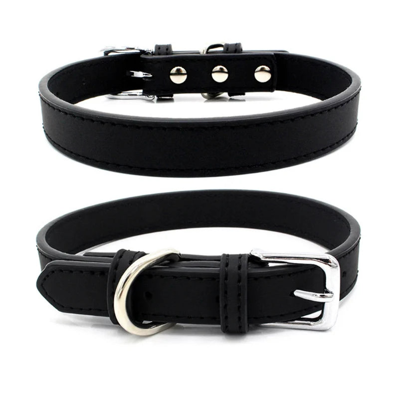 Extra large dog collar