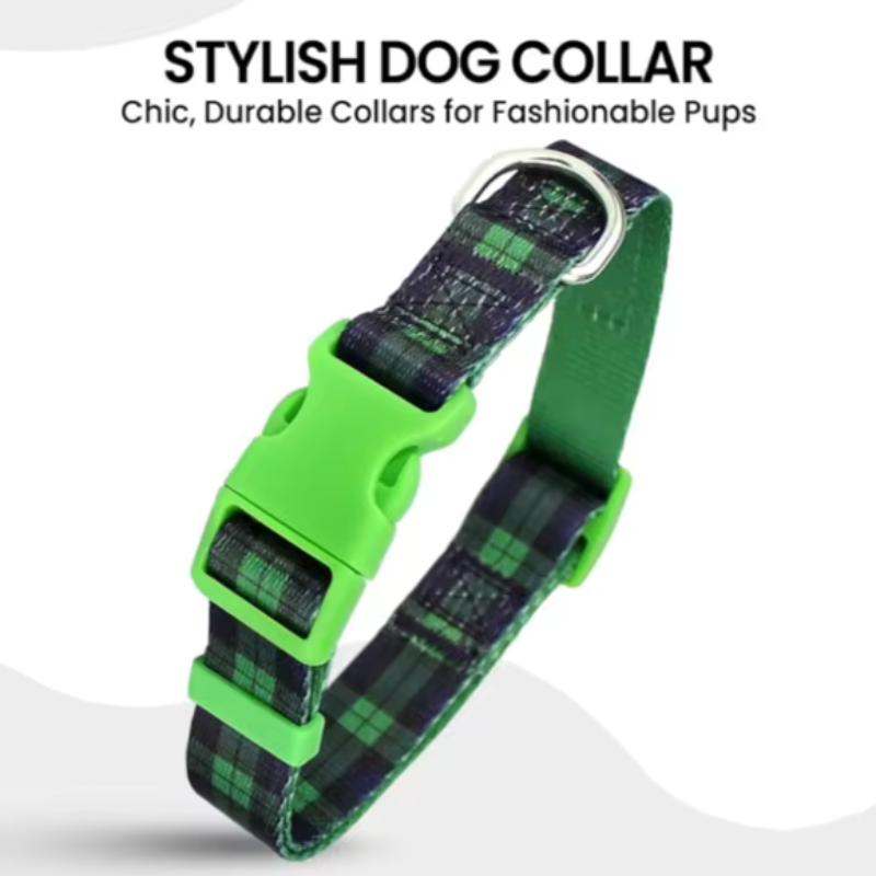 Green tartan dog collar