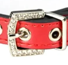 Thin leather dog collar