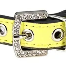 Yellow leather dog collar