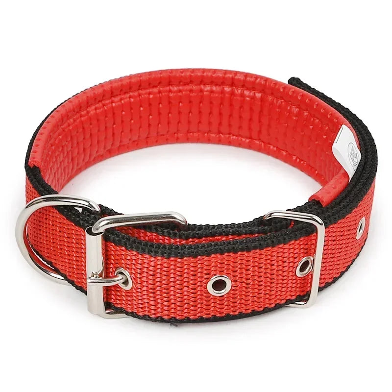 Boy dog collar