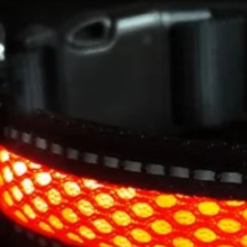 Red LED dog collar