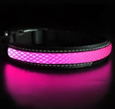 Bright dog collar