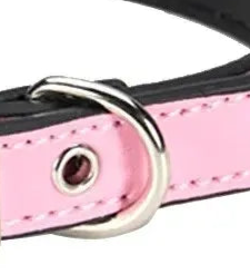 Baby pink leather dog collar