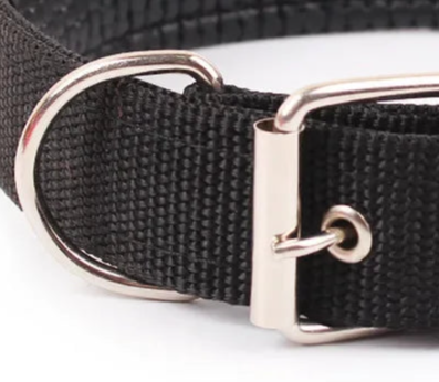 Men's dog collar