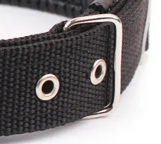 Men's dog collar