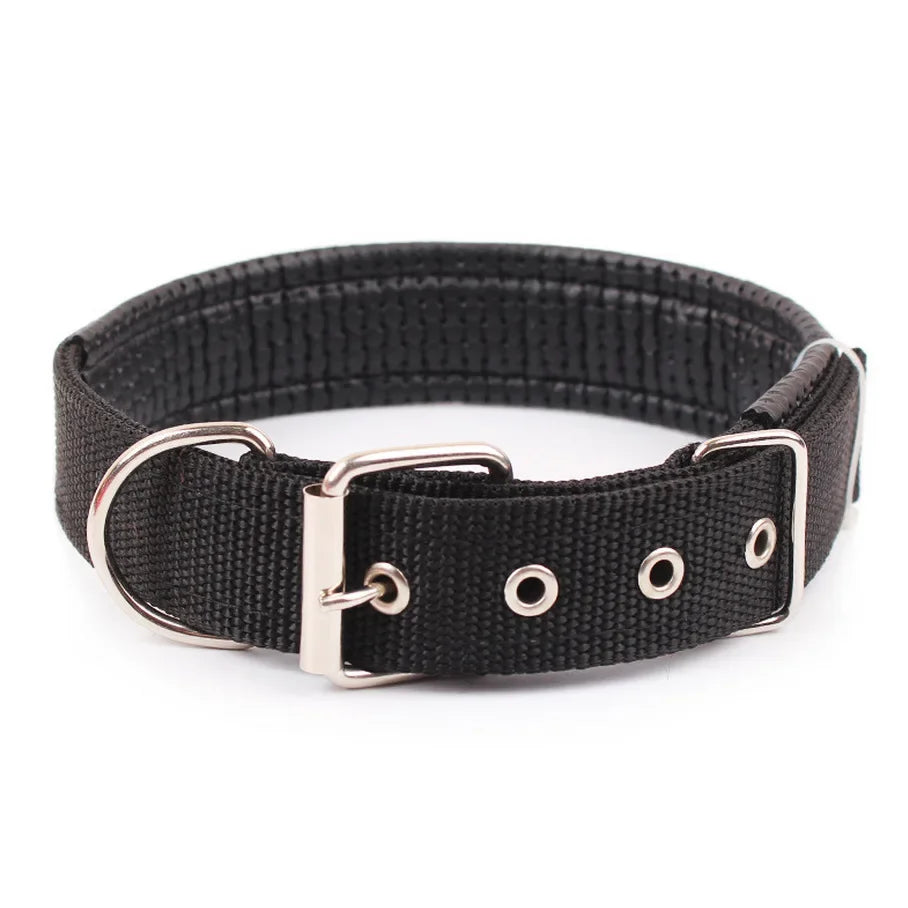 Men's dog collar