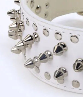 Leather dog collar with studs