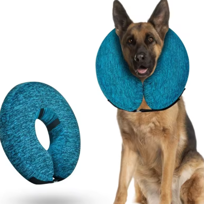 Protective inflatable collar for dogs