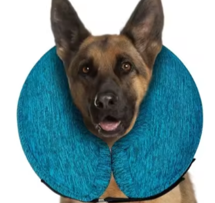 Protective inflatable collar for dogs