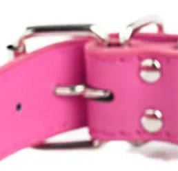 Pink leather dog collar with studs