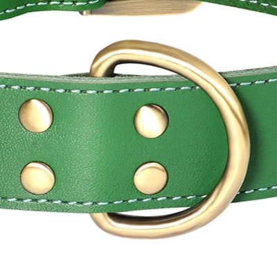 Lime green dog collar