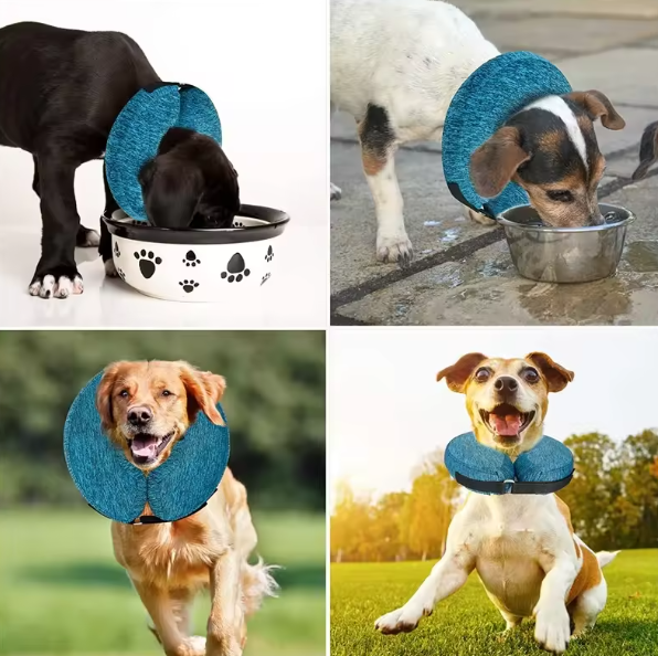 Protective inflatable collar for dogs