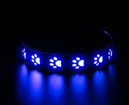 Illumiseen led dog collar