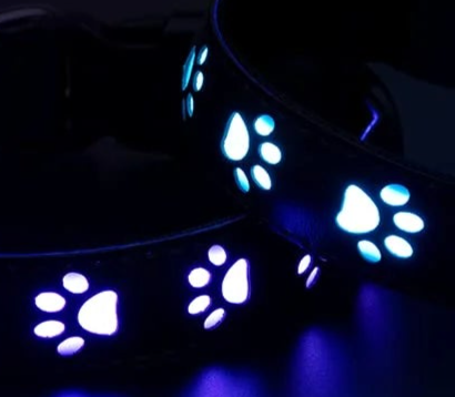 Illumiseen led dog collar