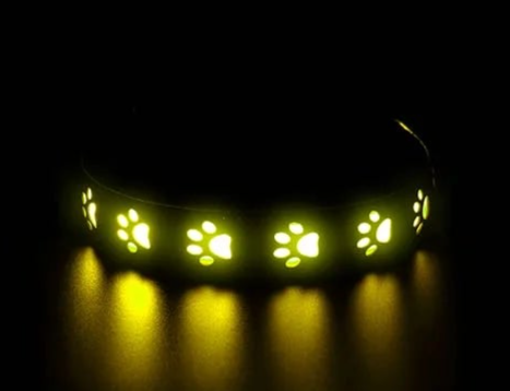 Small dog light up collar