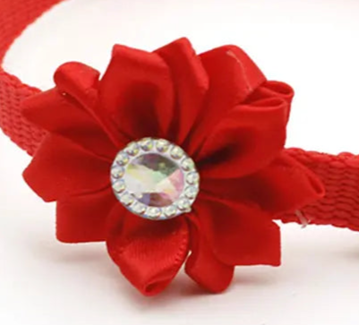 Red flower dog collar