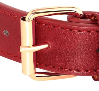 Luxury leather dog collar