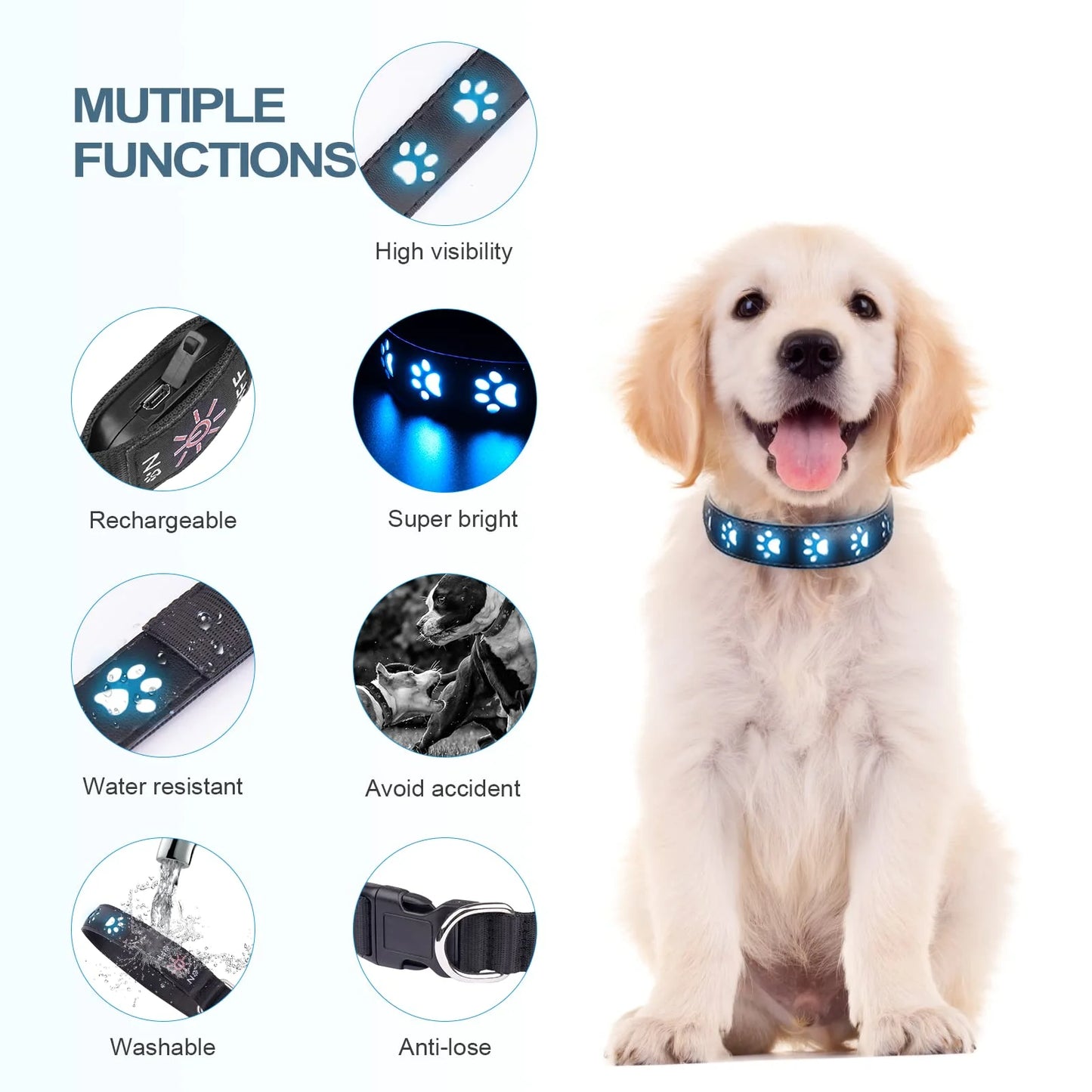 Night dog collar light up