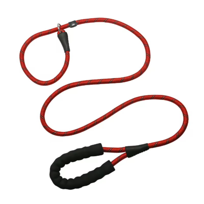 Red dog collar and leash