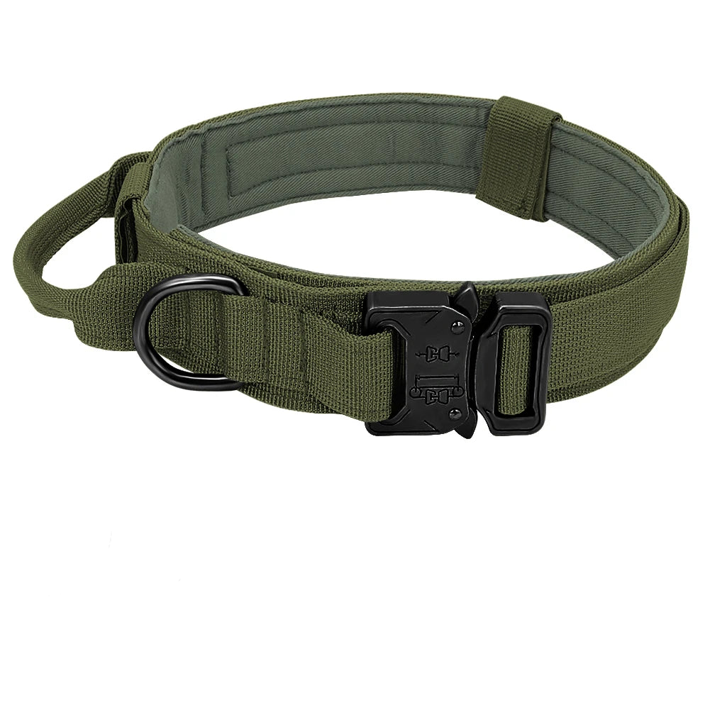 Clip Padded dog collar