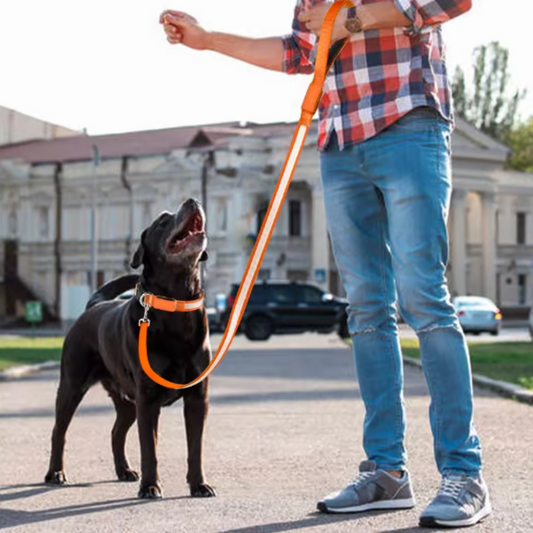 Peach dog collar and leash