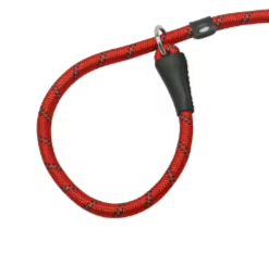 Red dog collar and leash