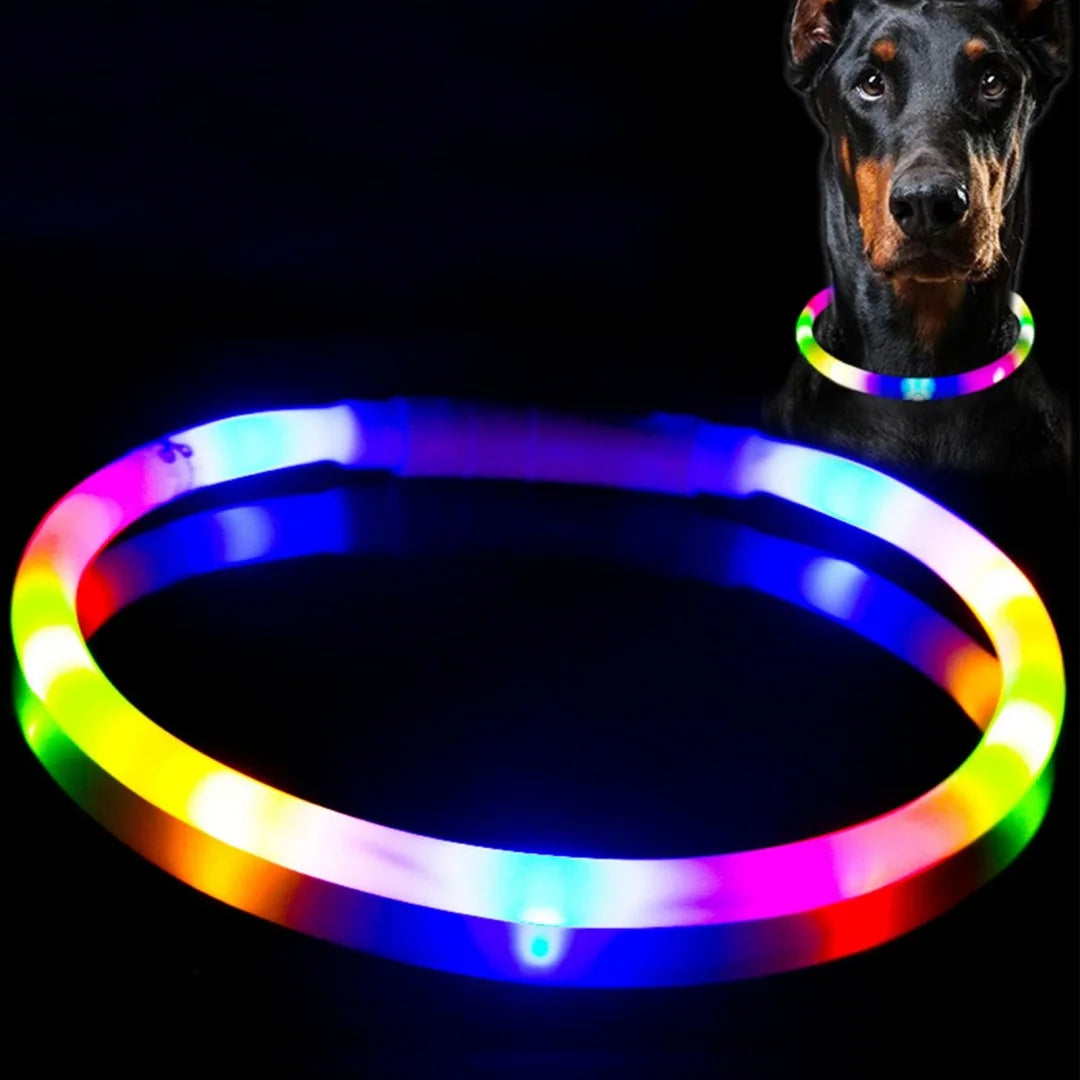 Aurora lights dog collar