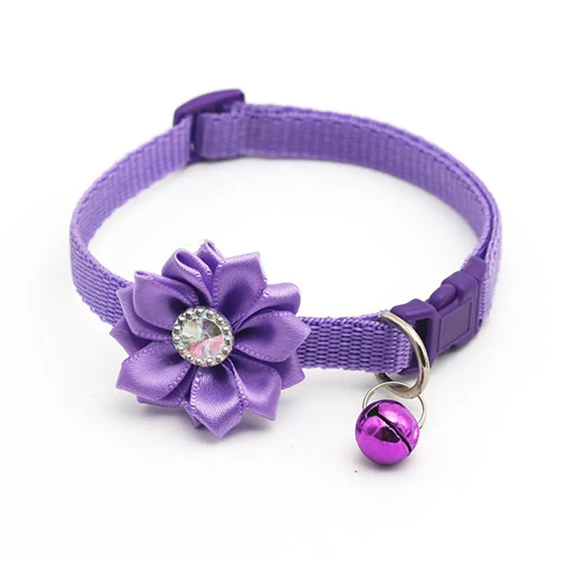 Flower dog collar