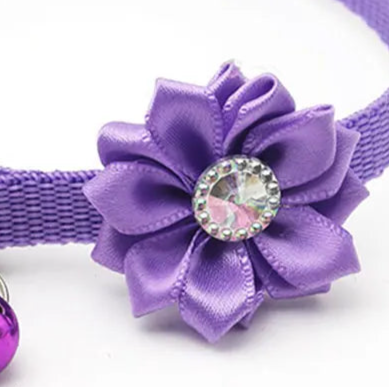 Flower dog collar