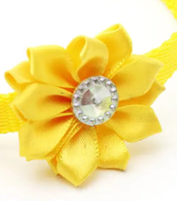 Yellow flower dog collar