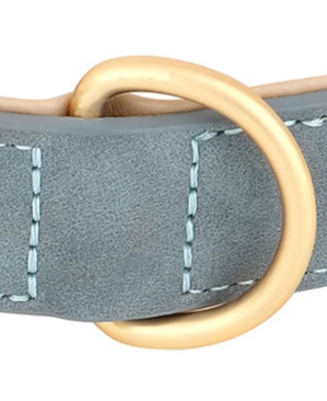 Padded leather dog collar