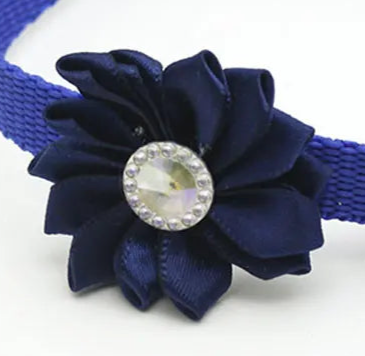 Dog flower collar wedding