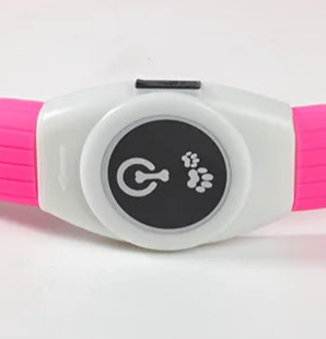 Pink light up dog collar