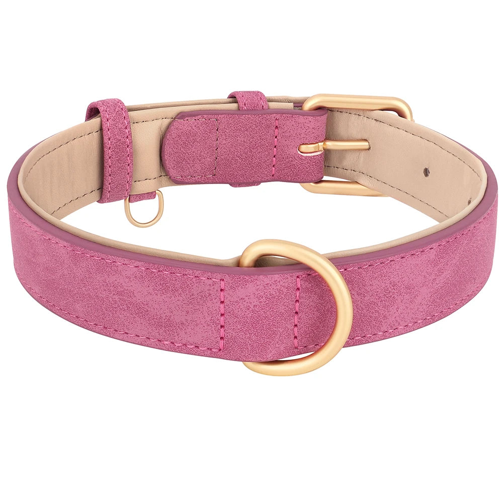 Pink leather dog collar