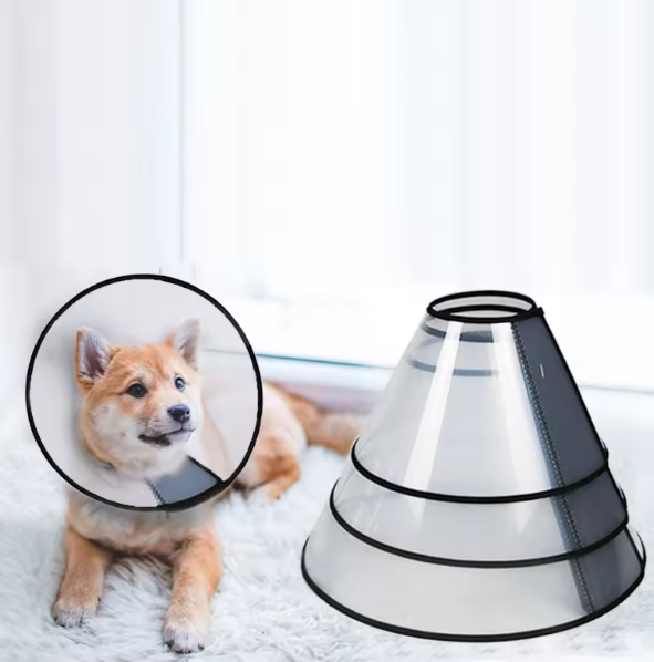 plastic dog cone collar