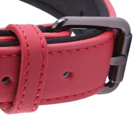 Red leather dog collar