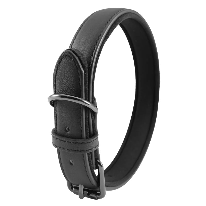 Black leather dog collar