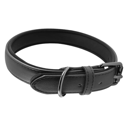 Black leather dog collar