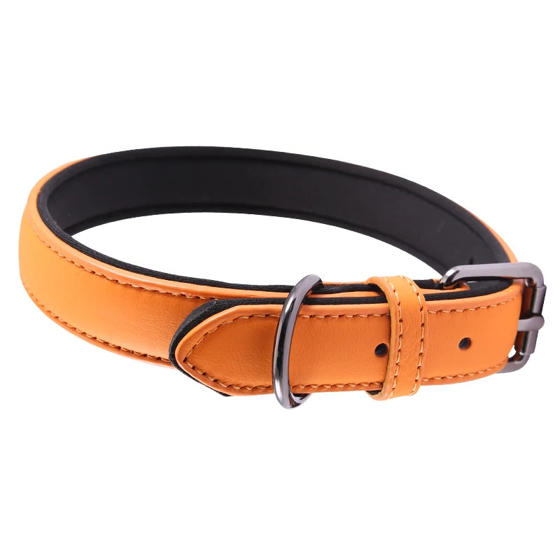 Orange leather dog collar