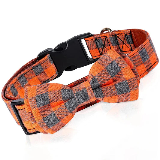 Cute boy dog collar